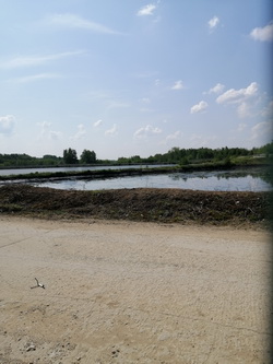 Ryazan