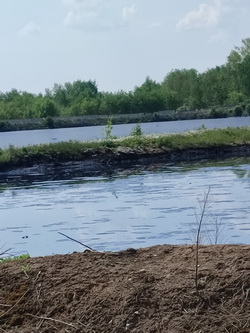 Ryazan